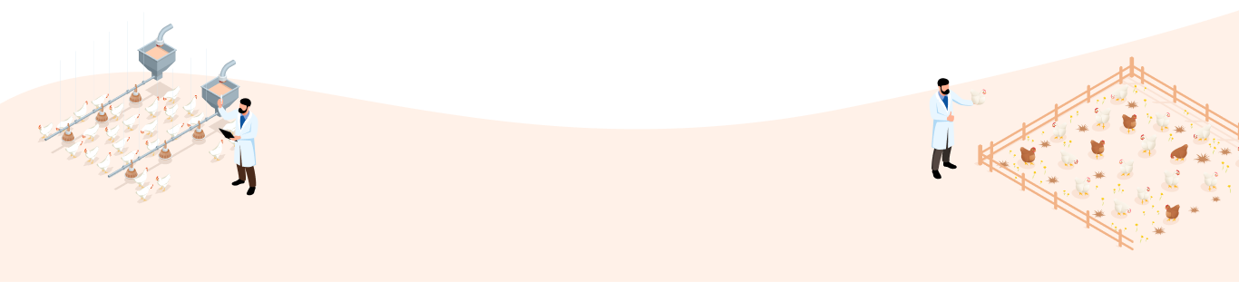zenex