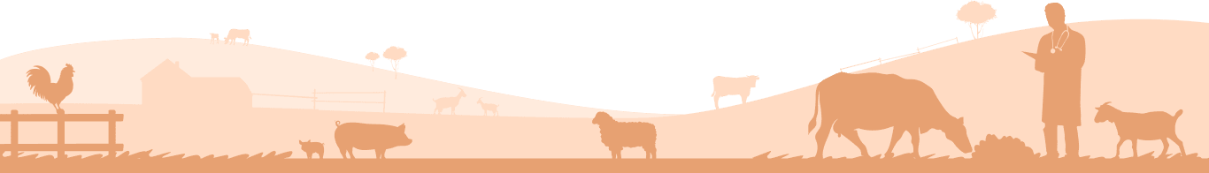 Zenex