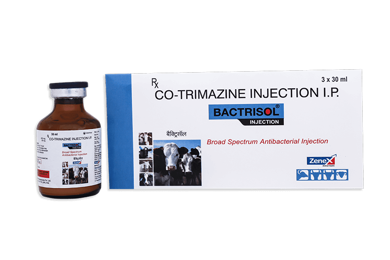 Bactrisol_Anti Microbial (2)