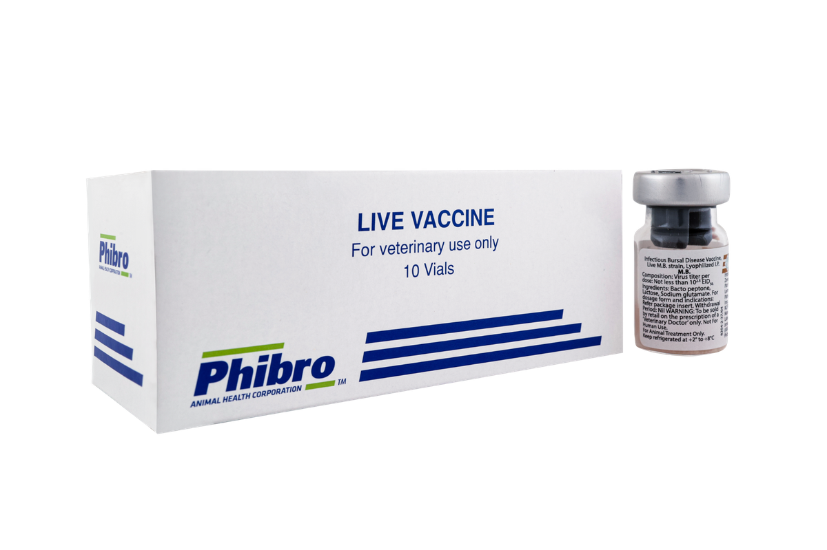 IBD_MB_Vaccine_Poultry