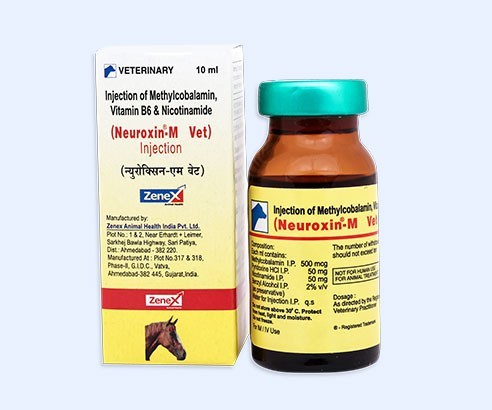 Neuroxin M_Vitamin Injection (2)