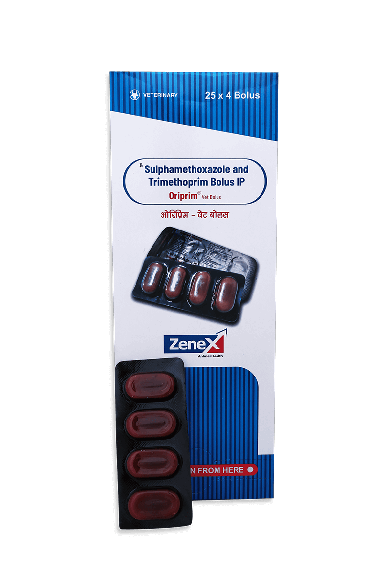 Oriprim Bolus_Anti Microbial