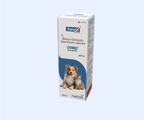 Otirel_Otitis Externa (2)