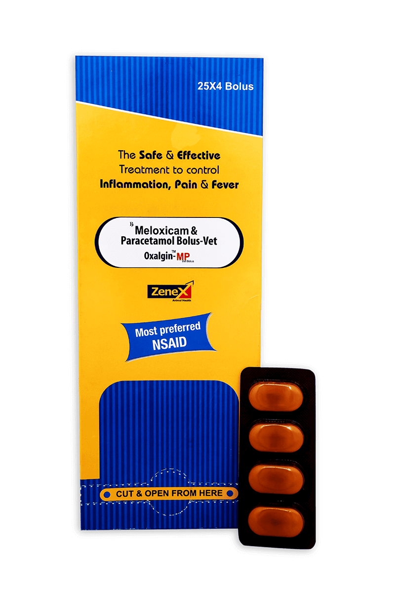 Oxalgin_NSAIDS (2)