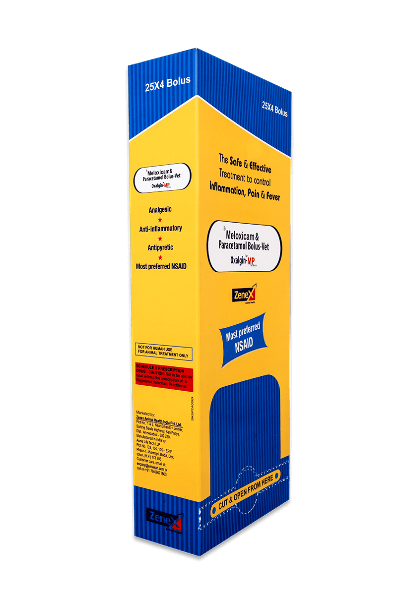Oxalgin_NSAIDS