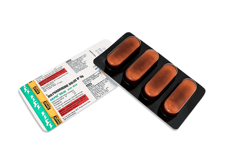 Sulpha Bolus_Anti Microbial