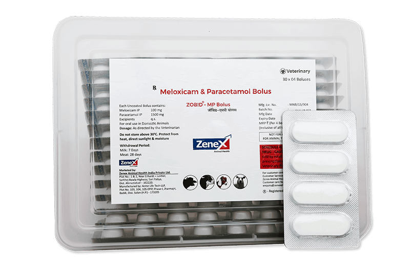 Zobid MP Bolus_NSAIDS (2)