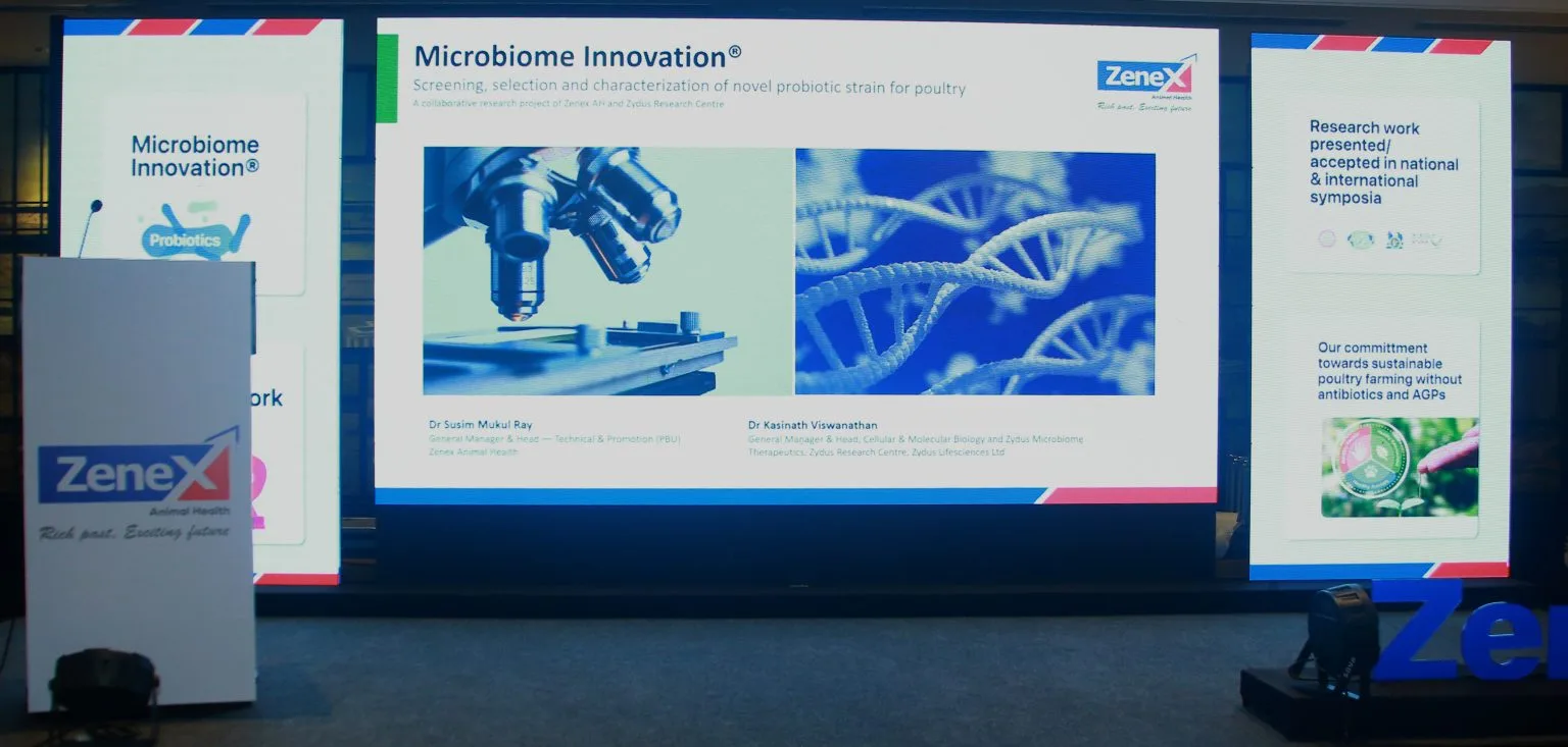 Microbiome Innovation®: Introducing a novel probiotic strain, Bacillus siamensis ZMT02, enabling sustainable poultry farming without antibiotics and AGPs