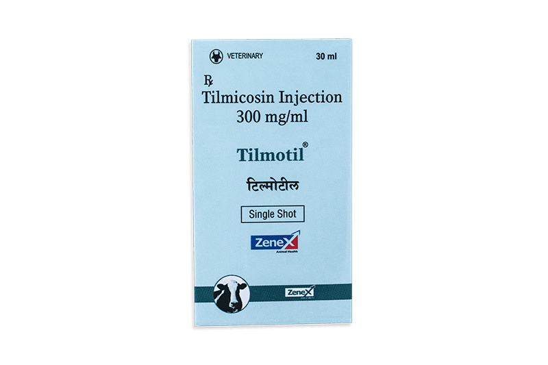 tilmotil