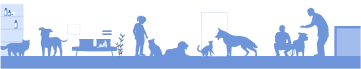 Companion Care (2)