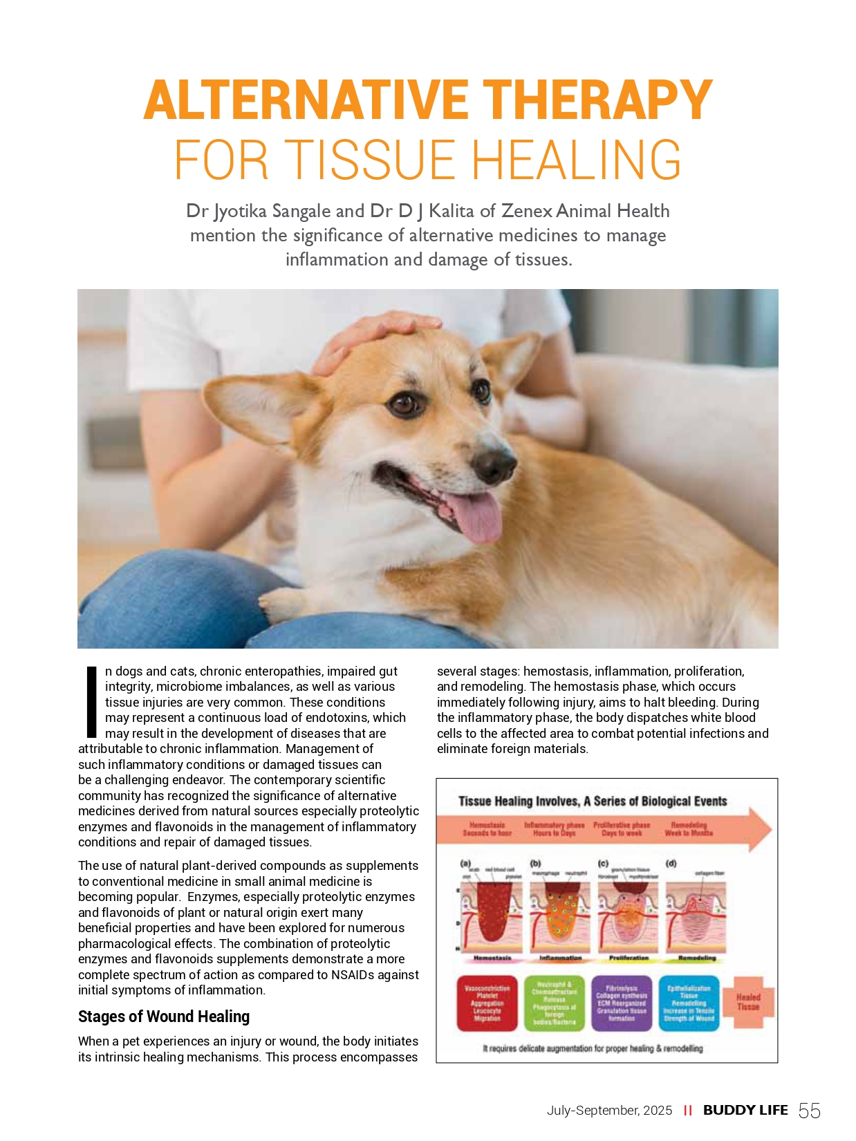 Alternative Therapy For Tissue Healing