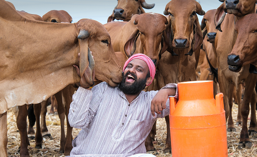 Zenex Farmer milking cows