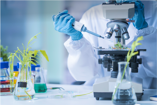 https://www.zenexah.com/wp-content/uploads/2025/08/Zenex-herbal-lab.png