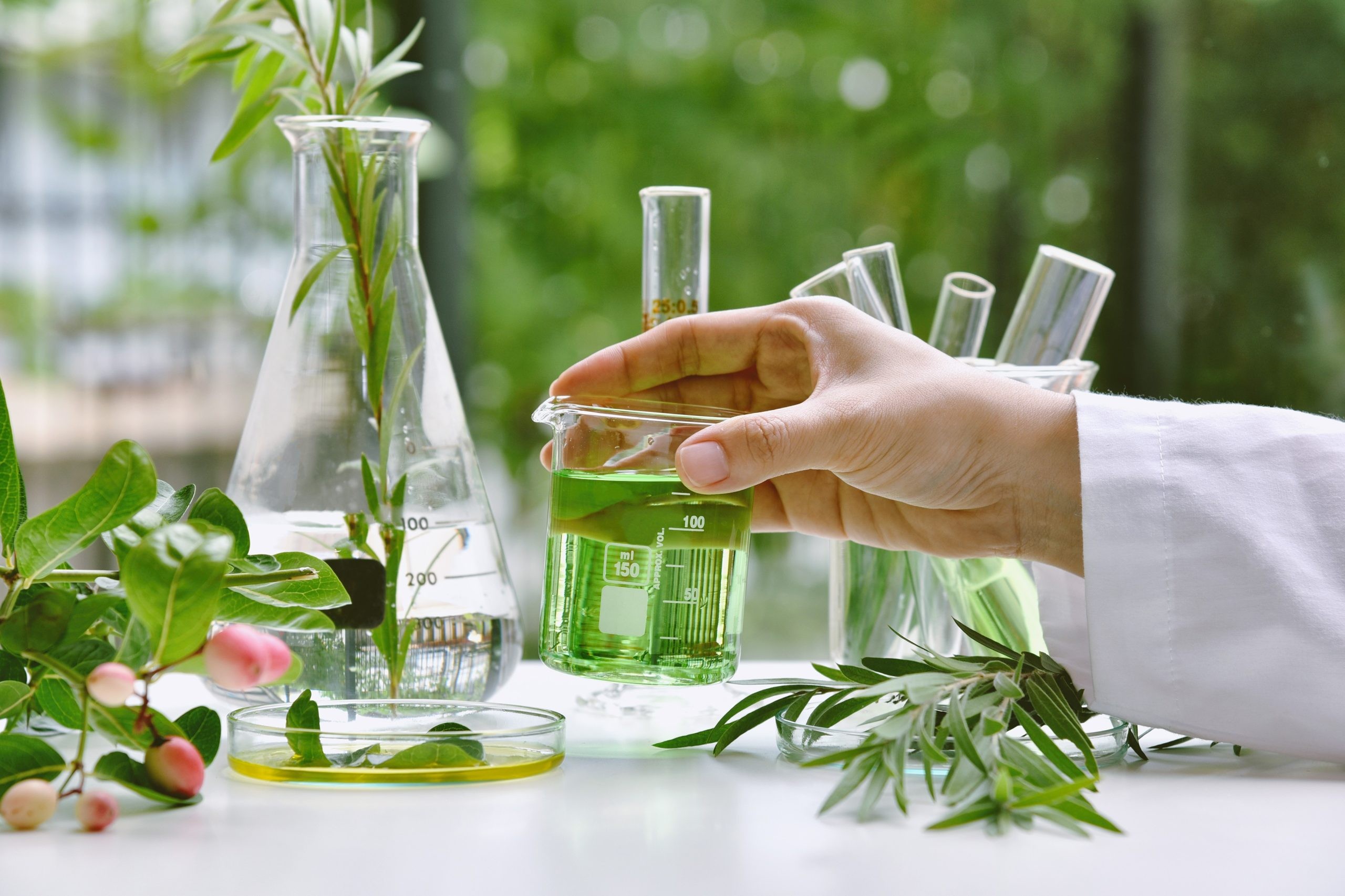 Exploring Ancient Science: 28 Research Articles Published