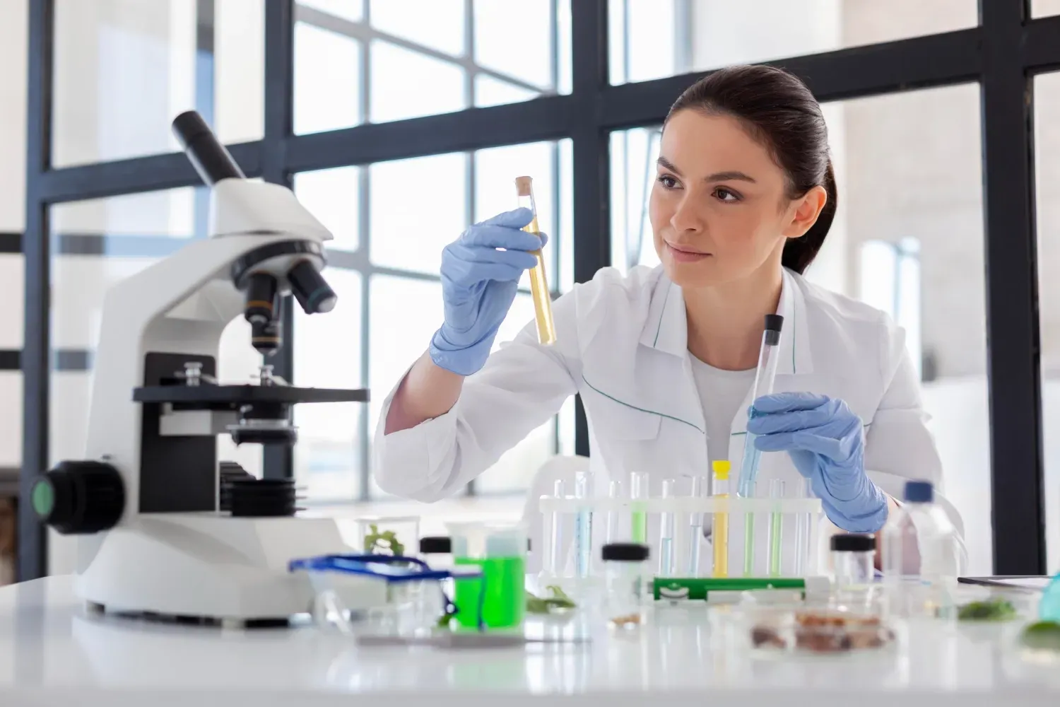 https://www.zenexah.com/wp-content/uploads/2026/05/Phytochemistry-new-1.webp