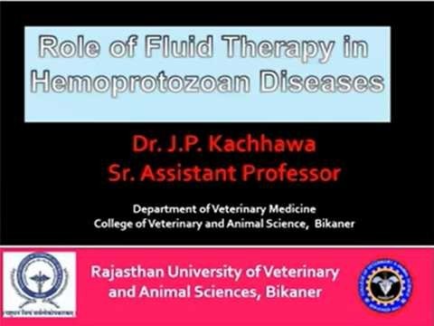 Role of Fluid Therapy in Hemoprotozoan Diseases